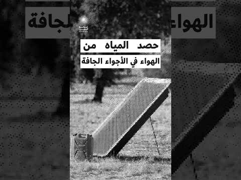 البروفيسور ع مر ياغي