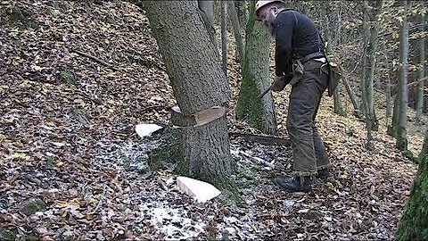 Logging 101 episode 2, getting down a hanger