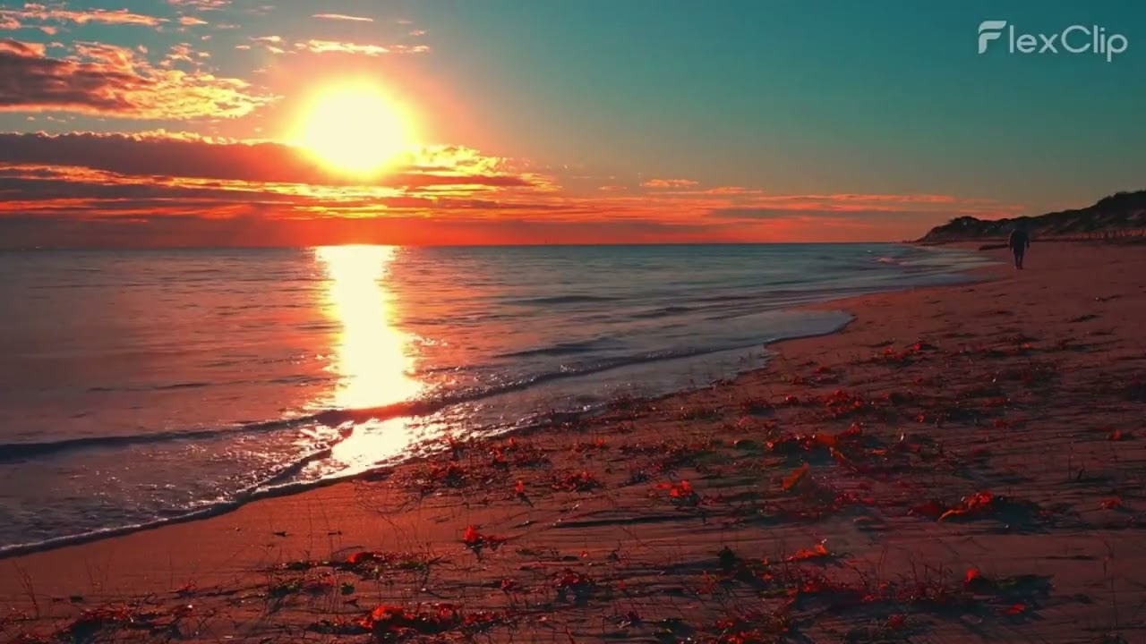 Ocean Beach Sunset 🌅 Calm Waves & Birds | Relaxing Nature Sounds for Sleep, Study & Peace (30 Min)