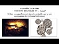 12. D’un long confinement dans les entrailles de la terre aux rouages des horloges biologiques