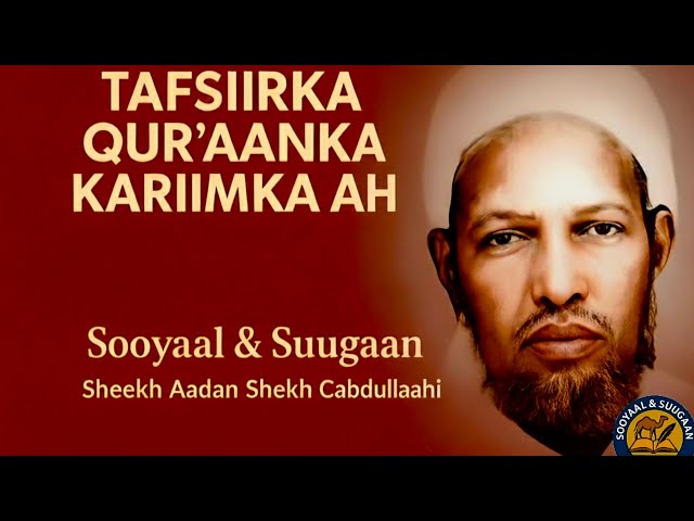 Porno foto galereya video