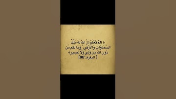 #القرآن_الكريم #تلاوة_خاشعة #راحة_نفسية #سورة_البقرة #اذكروا_الله_يذكركم #استغفر_الله_واتوب_إليه
