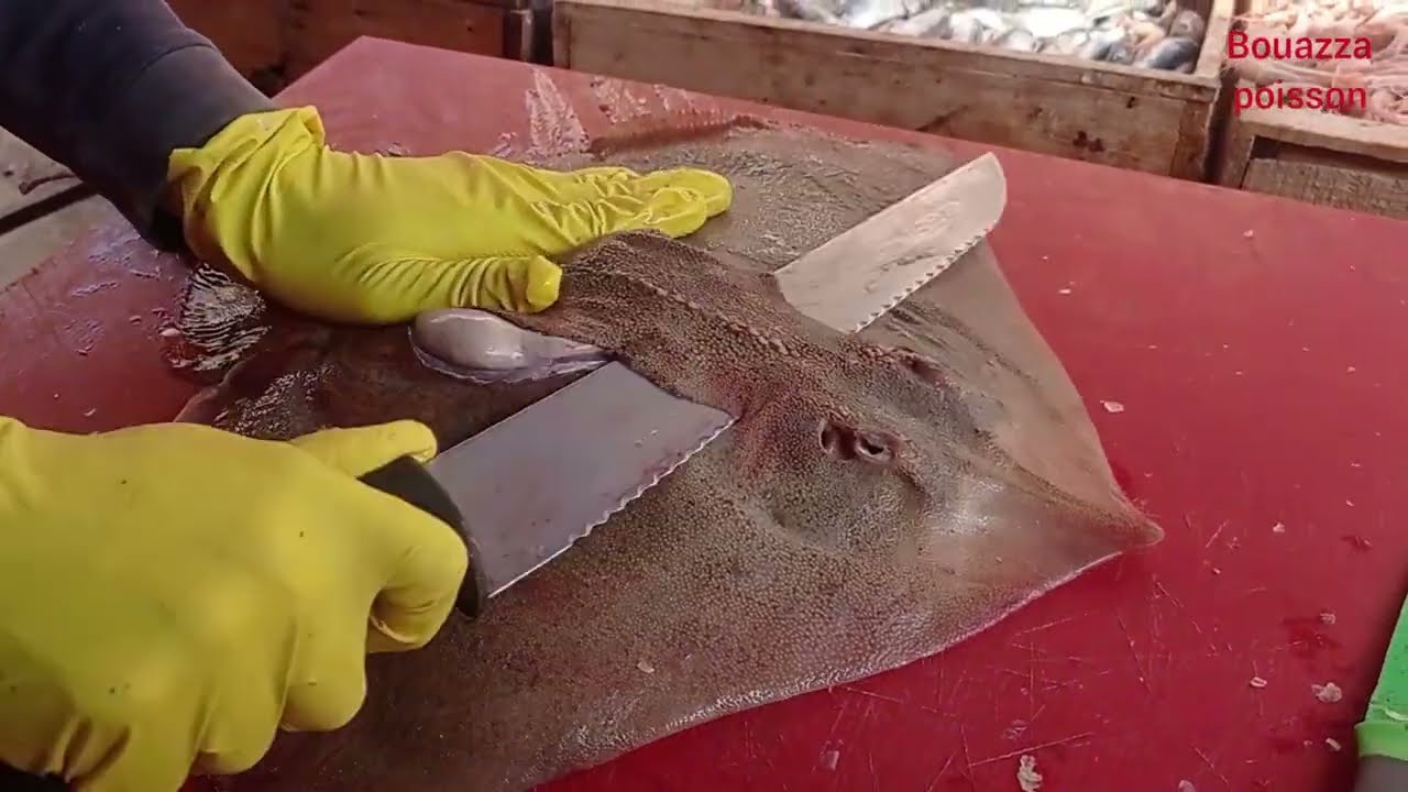 سلخ تنضيف تقطيع 🔪 سمك الراية في 2 دقائق.  Dépouiller et couper le poisson raie