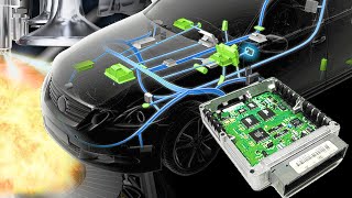 TECNOLOGÍA: La electrónica del auto requiere ATENCIÓN!