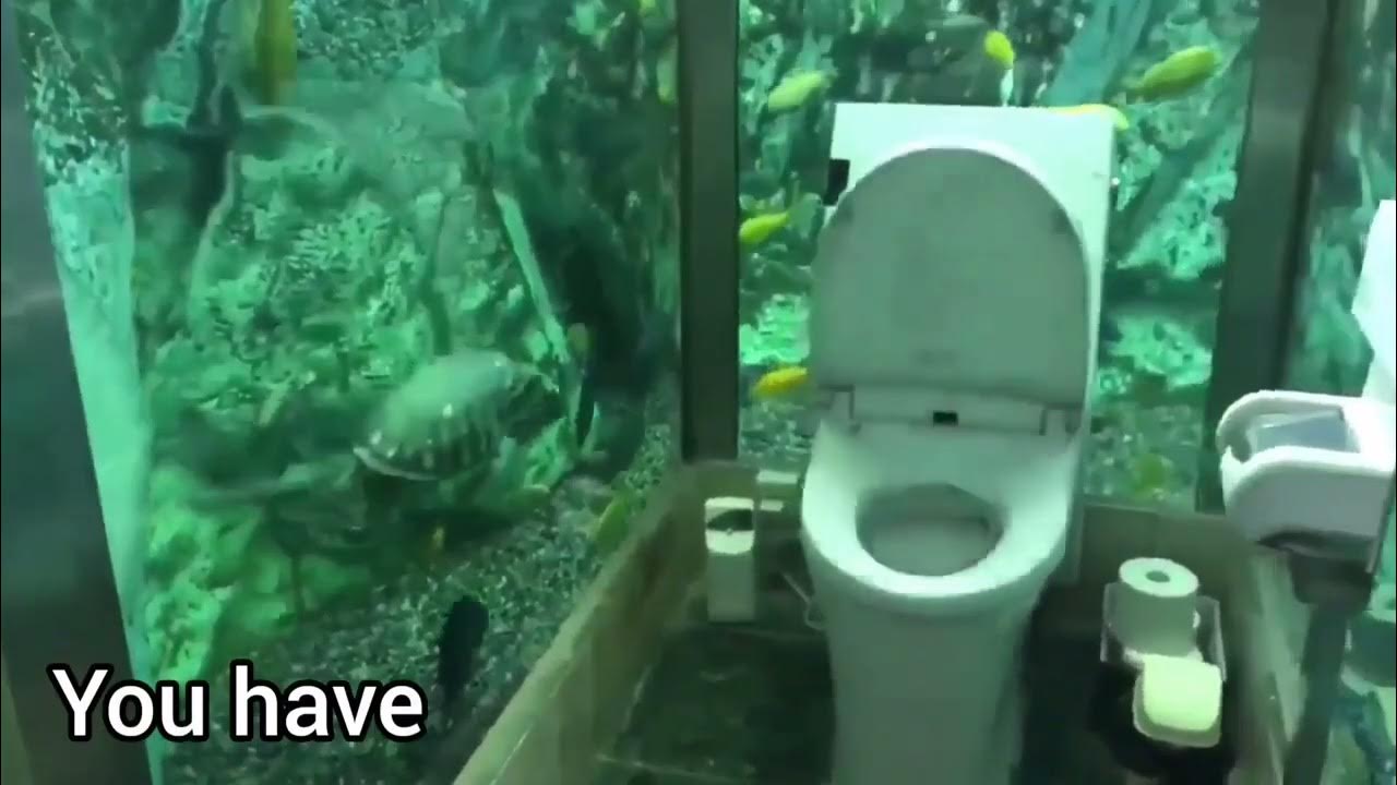 Best Toilet in the World, Try to watch until the end and volume up 