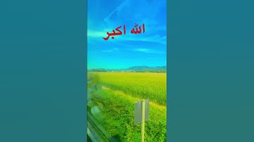 #اكسبلور #المصحف #سورة_البقرة #fishing #نزهه #nature #دحمان #شلتنا