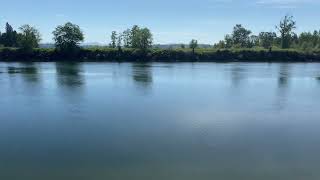 Peaceful ￼Snohomish River