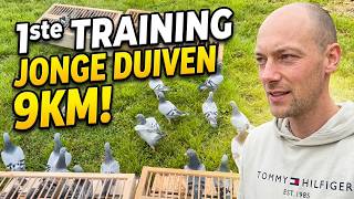 1ste training jonge duiven 9km, inkorven oude duiven voor Hirson 348km!