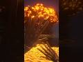 How to Survive a Nuclear Attack#shorts #shortsfeed #ytshorts #war #russia #nuclear #facts #viral