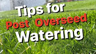 How to Water After Overseed