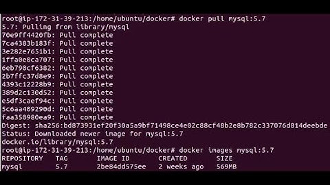 Setup mysql 5.7 with docker on VPS