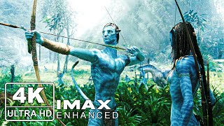 8K 60 Fps Avatar 2009 - Mastered By Rapidsongsfr