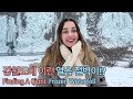 The MOST AMAZING View You’ll Find In Korea During Winter! ❄️ Extreme Cafe Reaction &amp; Gandwondo Trip