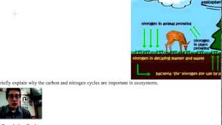Carbon And Nitrogen Cycles | Science Articles | Science Project Ideas | Science Expo |