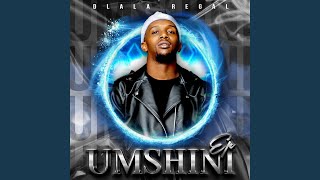 Umshini 4.0 (Washa)
