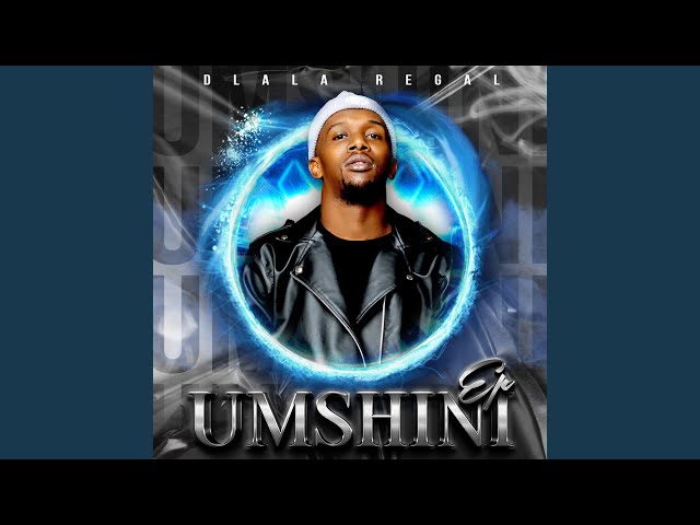 Umshini 4.0 (Washa)