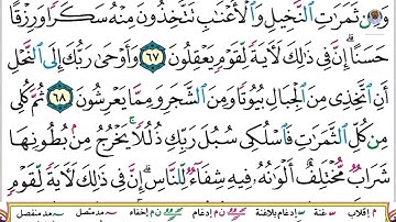 (14) تلاوة بصوت القارئ هزاع البلوشي سورة النحل، الآيات: 65-69