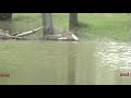 Flooding in French Lick, Indiana