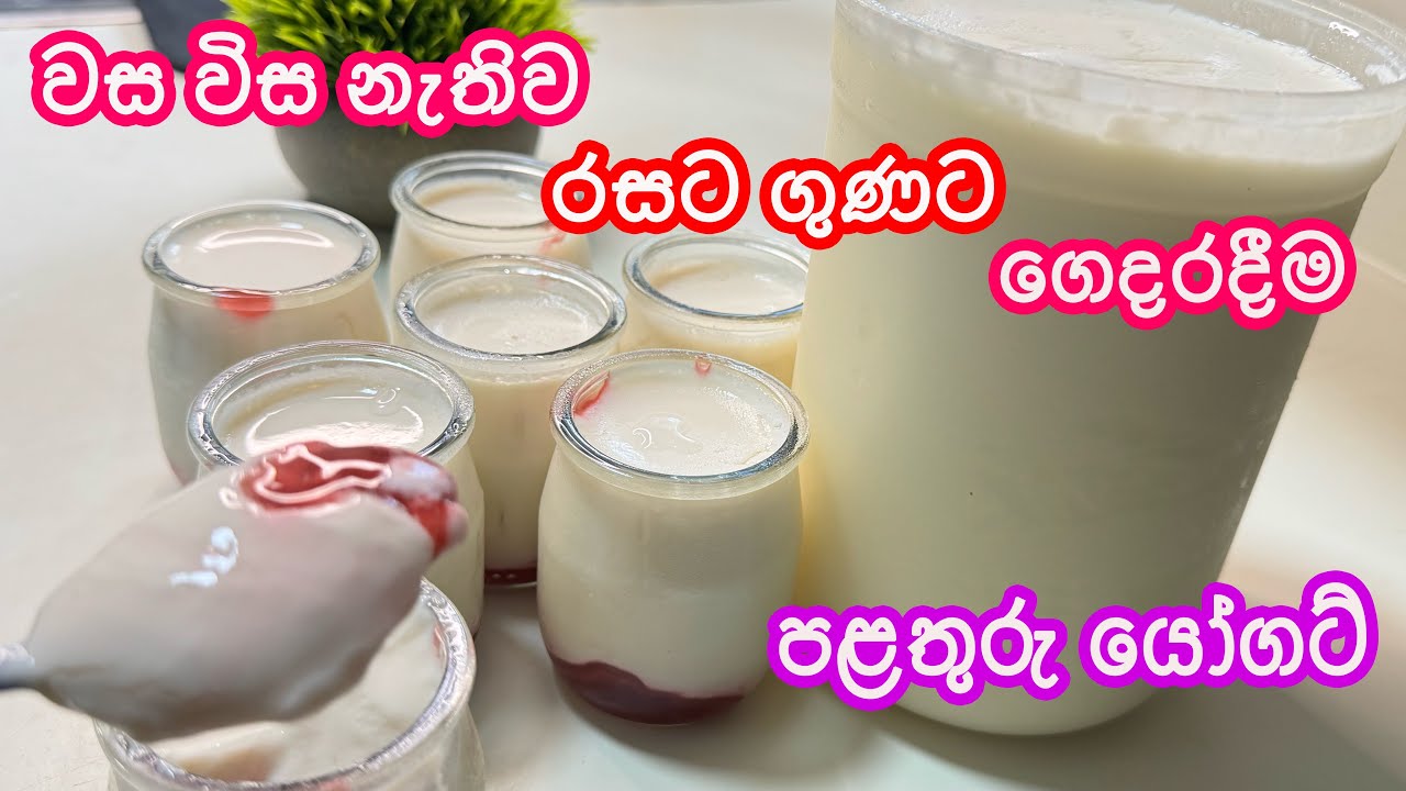 මේ විදිහට යෝගට් ගෙදර හැදුවොත් ආයෙනම් කඩේ යෝගට් කන්නෙ නෑ ෂුවර් | Easy & Creamy Homemade Yogurt Recipe