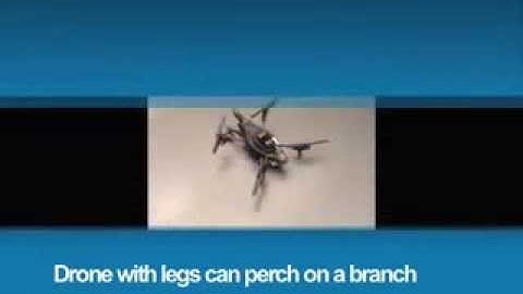 Bhargav Gajjar Perching Quadrotor