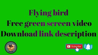 flying dove green screen flying bird green screen[free green screen video ]