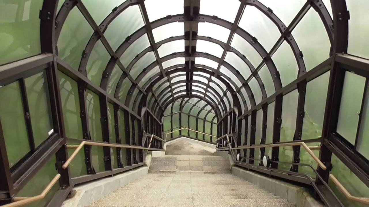 美瑛 十勝岳火山砂防情報センター 北海道の旅 No.223 2016・7・20 - YouTube