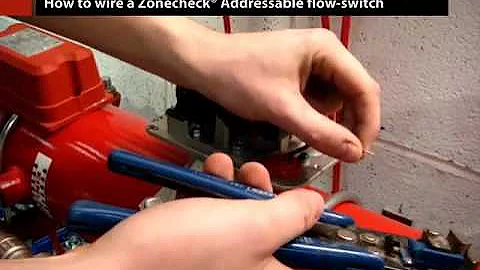 Wiring a Zonecheck Addressable Flow-switch