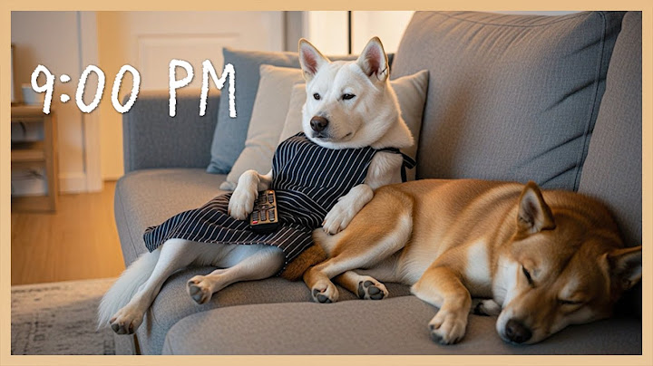 A Day in the Life of a Housewife Dog 🐾