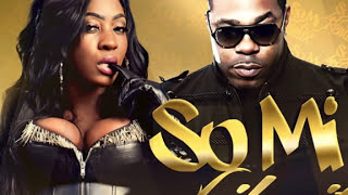 Spice Ft Busta Rhymes   ' So Mi Like It ' (Remix)  (Clean) March 2014  480p