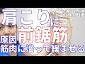 肩こりセルフメンテナンス動画①【前鋸筋編】