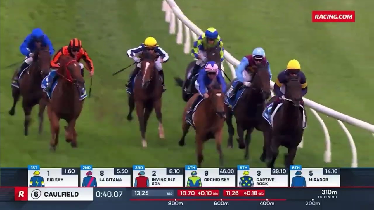 BIG SKY выигрывает скачки Chairman’s Stakes (G3) в 2026 году.