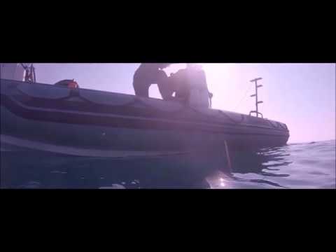 Dive on Ship Wreck - Haven - Arenzano Feb 2020