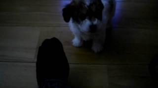 SDC10153.AVI