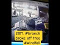 #highwinds #brakes #tree #limb #windfall