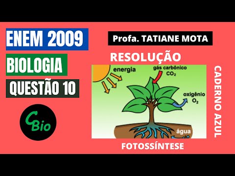 Vídeo: Qual dos seguintes processos de geração de energia é o único que ocorre em todos os organismos vivos?