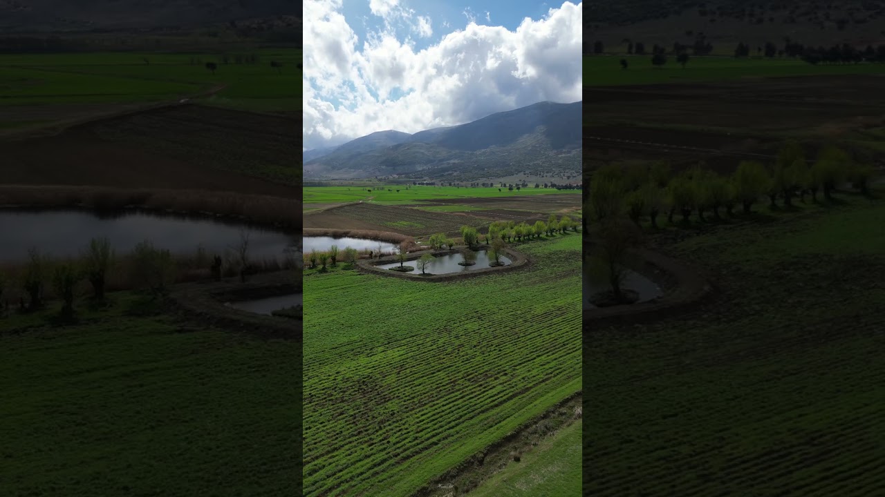 The beautiful wet lands of 