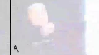 Vusal Tenha Qeribem Men Whatssap Status Ucun