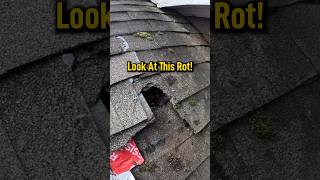 Look At This Rot! #roofingindustry #roofingrepair