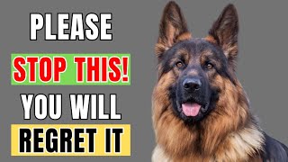 10 Things You Should NEVER Do to Your German Shepherd