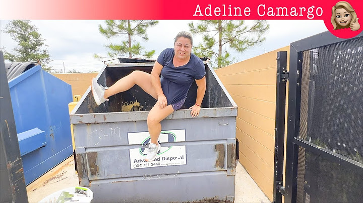 Saco surpresa nesse dumpster das lojas EUA | Adeline Camargo