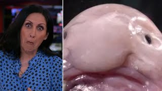 Maryam Moshiri Being Unserious On Bbc News For 18 Minutes