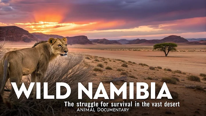 WILD NAMIBIA | The Struggle for Survival in the Vast Desert | Animal Documentary