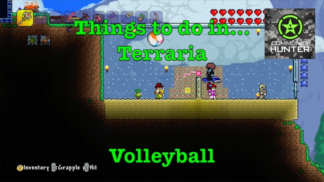 Things to do in... Terraria Volleyball YouTube