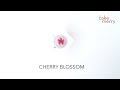 How to pipe a buttercream flower cherry blossom