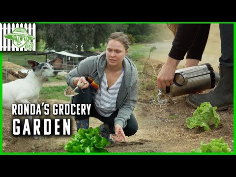 Ronda Rousey's Grocery Garden | Browsey Acres #StayHome