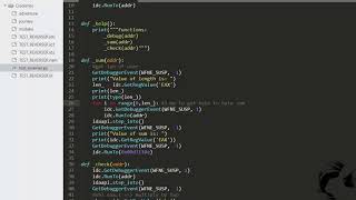 Scripting with IDAPython-Test reverser solution 0x01