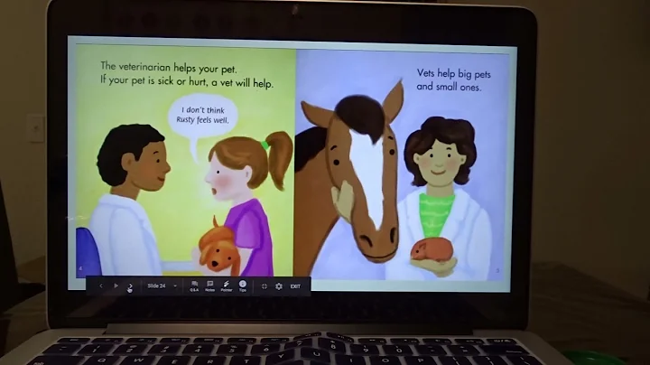 Caring for your pets by Ann Owen
