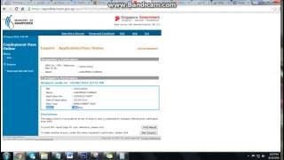 How to check Singapore SPASS EPASS Status in EP Online WebSite screenshot 4