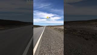 Nandu Crossing On Ruta 3 In Argentina