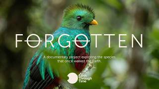 FORGOTTEN — Official Teaser | Earth Through Time